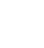 Anteater Projects